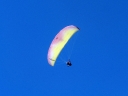 wanaka (39)